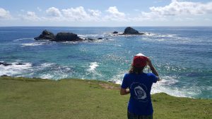 NSW Dolphin Census Training Course